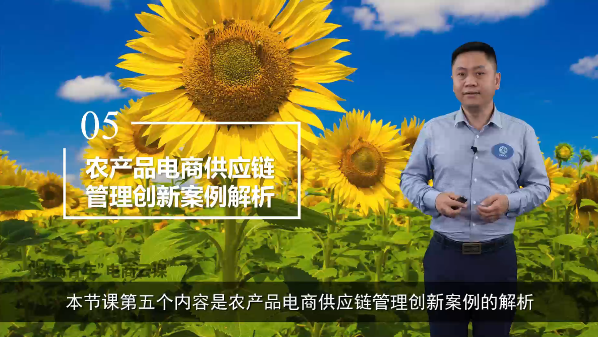 农产品电商供应链管理创新案例解析