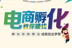 跨境电商孵化