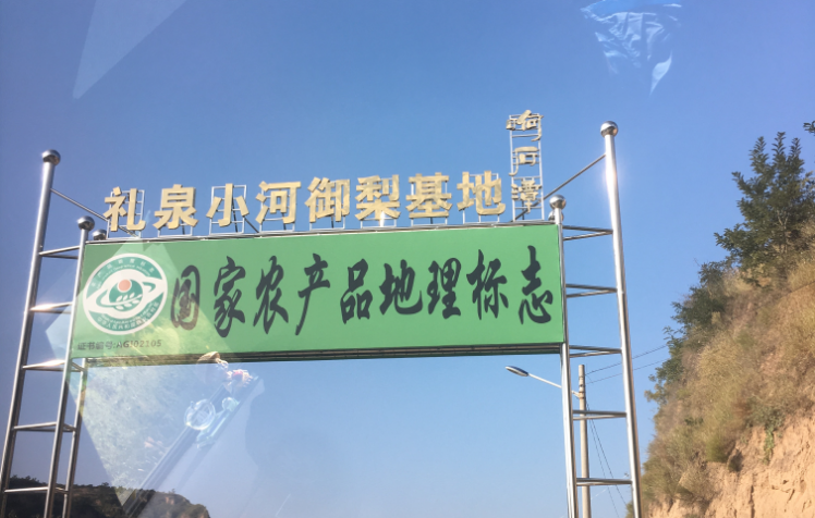 地标—礼泉小河御梨